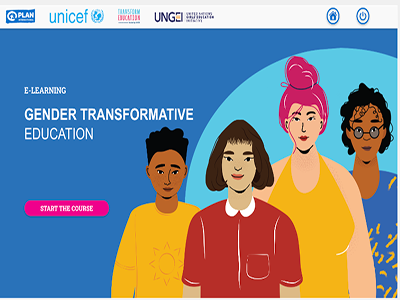 Summary Of Gender Transformative Education E-learning Course ...